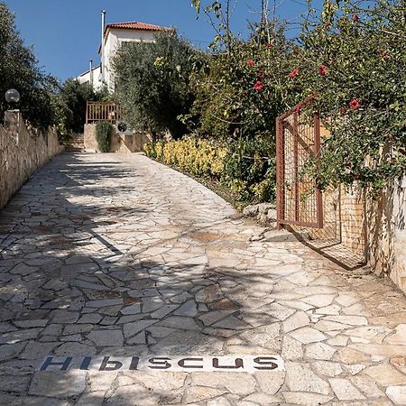 Villa Hibiscus Spiliá Екстериор снимка